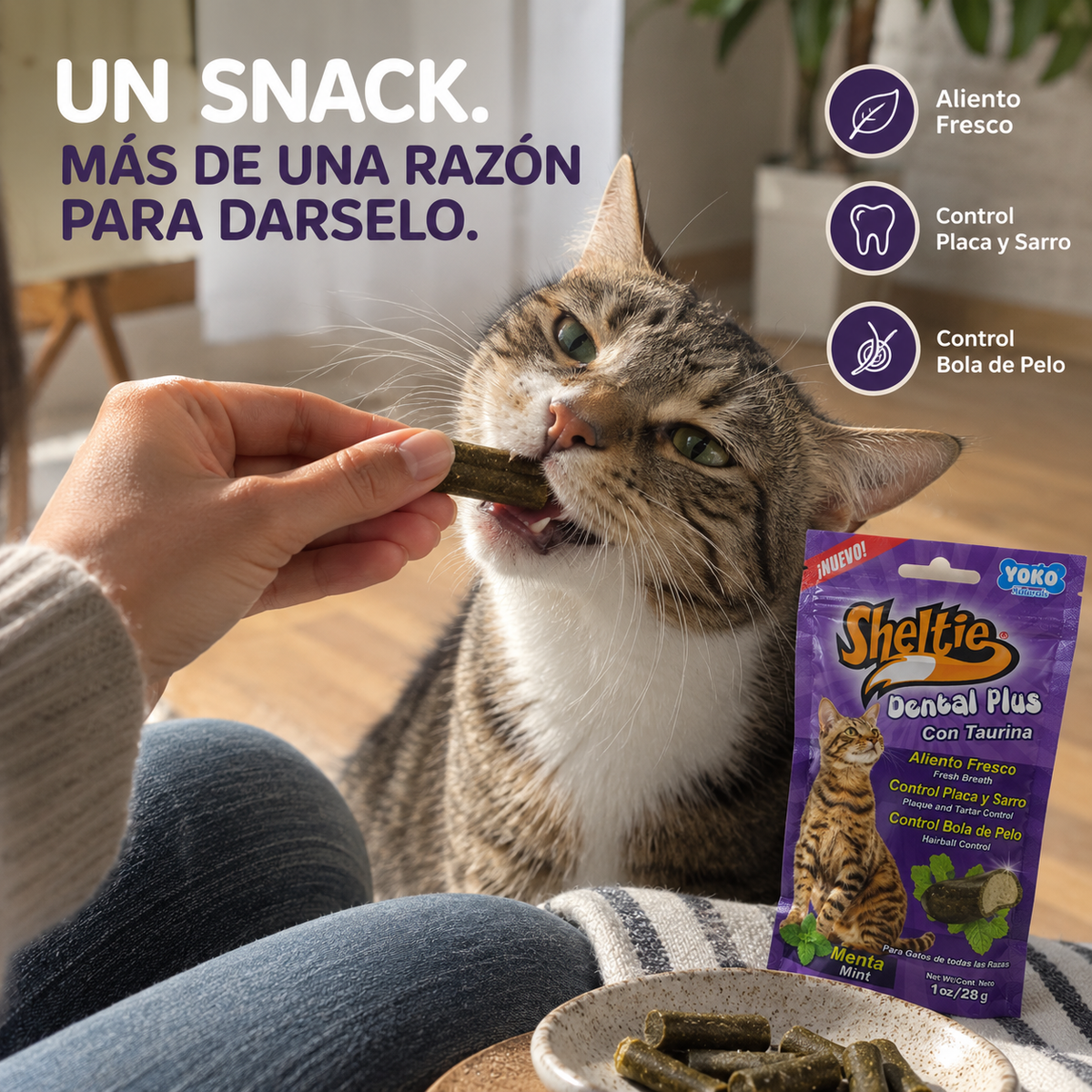 Sheltie Dental Plus para Gatos con Taurina – Menta