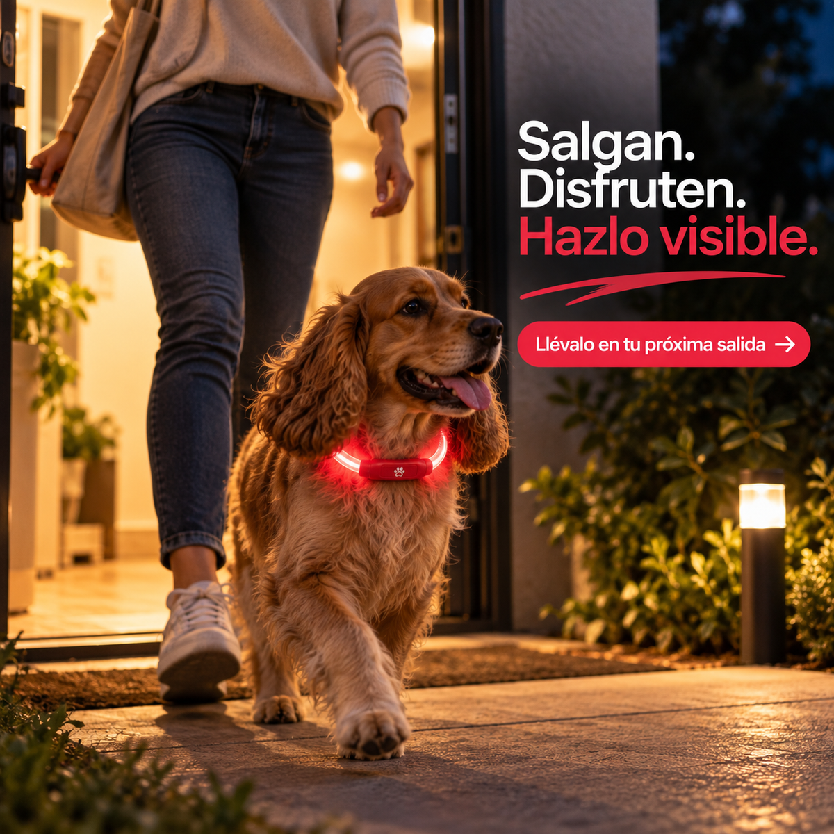 Collar LED para Perros Recargable por USB – Luz Nocturna / Talla S