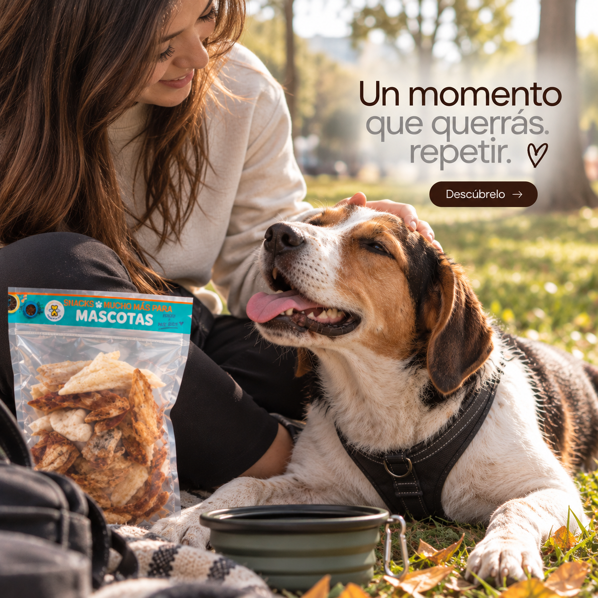 Alitas de Pollo Liofilizadas para Perros – Snack Natural