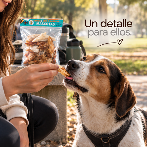 Alitas de Pollo Liofilizadas para Perros – Snack Natural