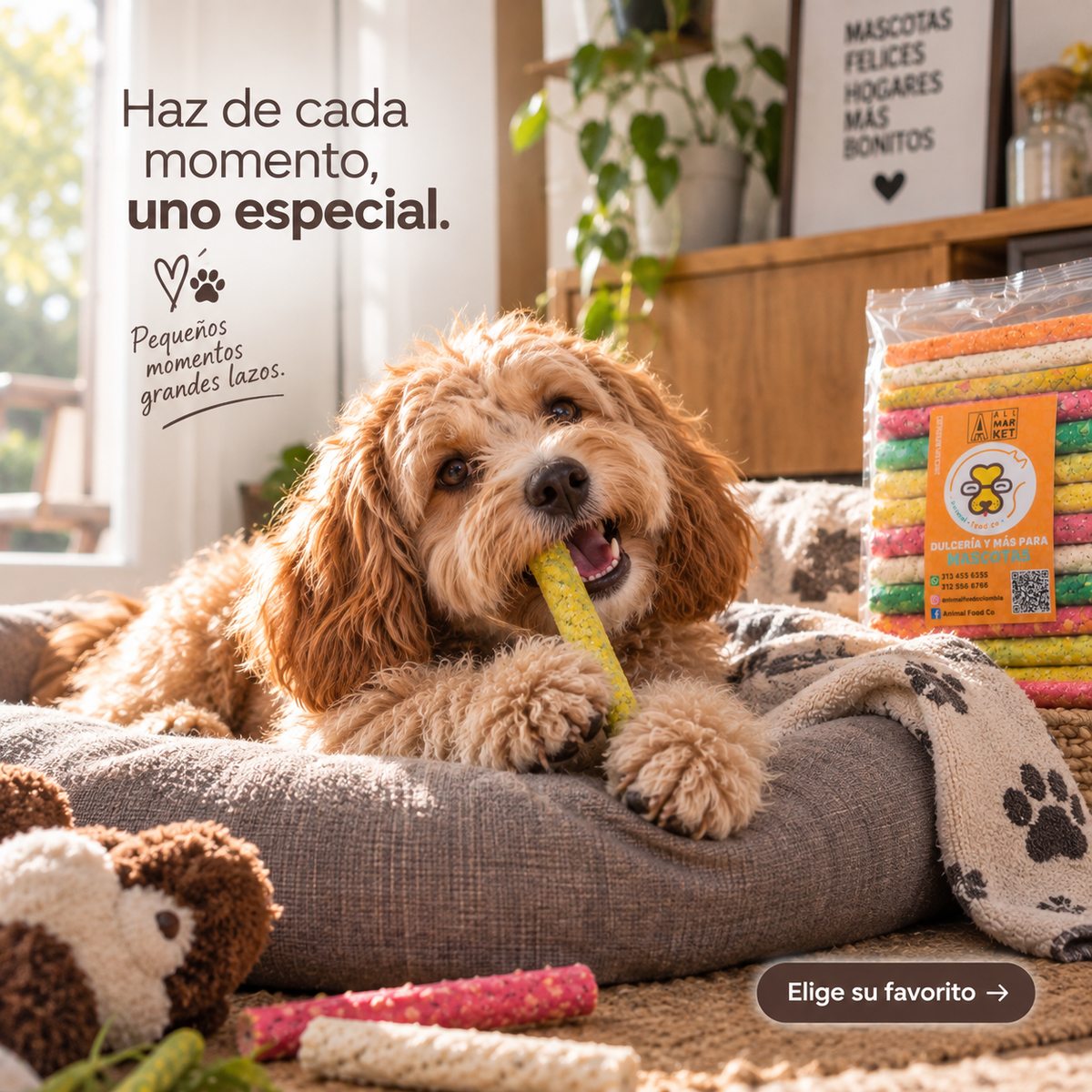 Cabanos Surtidos de Carnaza para Perros – 1 Kg