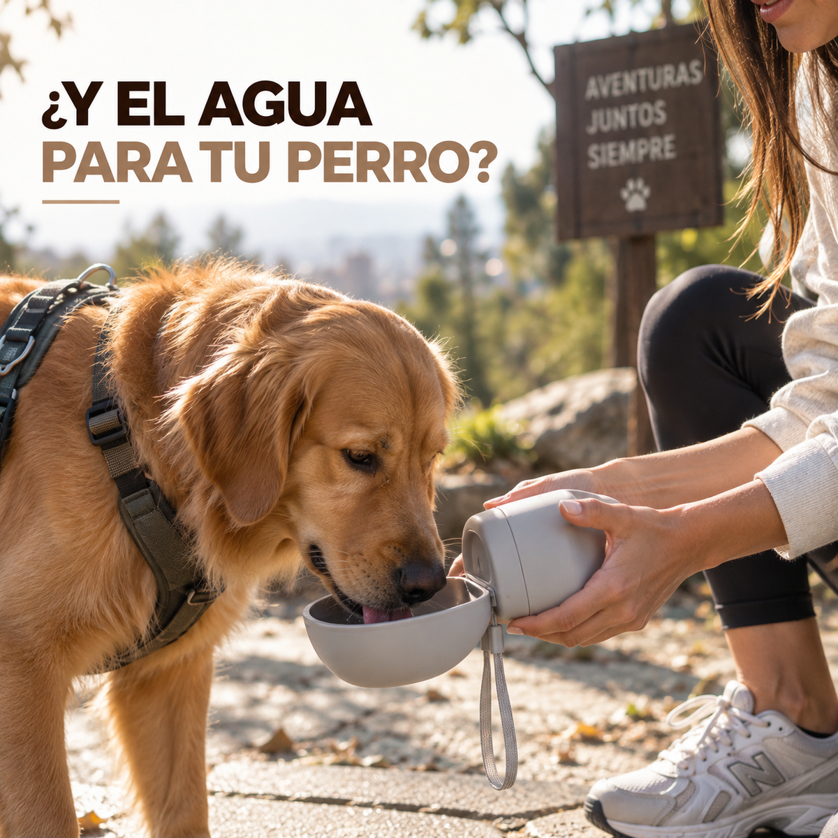 Bebedero Plegable 3 en 1 para Perros – 230 ml