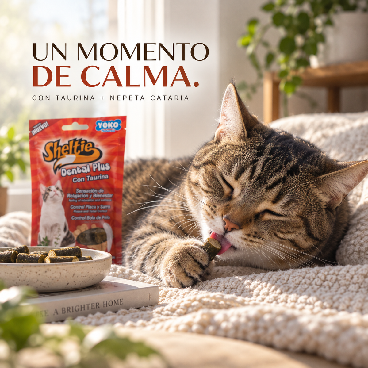 Sheltie Dental Plus para Gatos con Taurina y Catnip