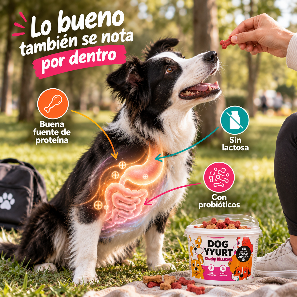 Dog Yurt Delidog * 160 gr